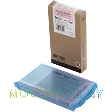 Картридж Epson C13T603600 картинка 3